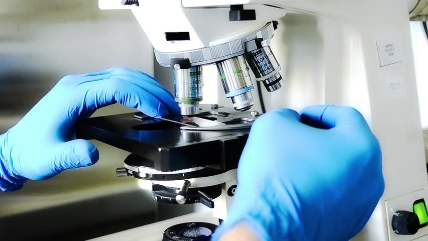 Elev din Neamț va participa la selecția lotului național pentru Olimpiada Internațională de Biologie