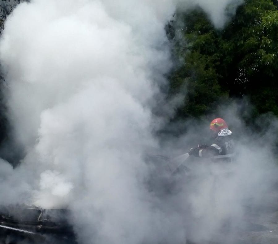 Rozătoarele, ”vinovate de incendierea” unui autoturism (FOTO)