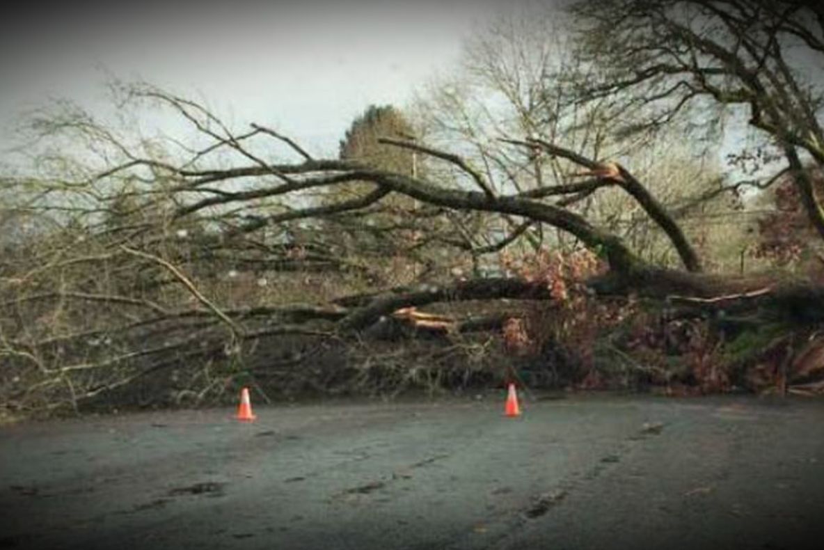 (ACTUALIZARE) Misiunile pompierilor nemțeni pentru înlăturarea efectelor furtunii