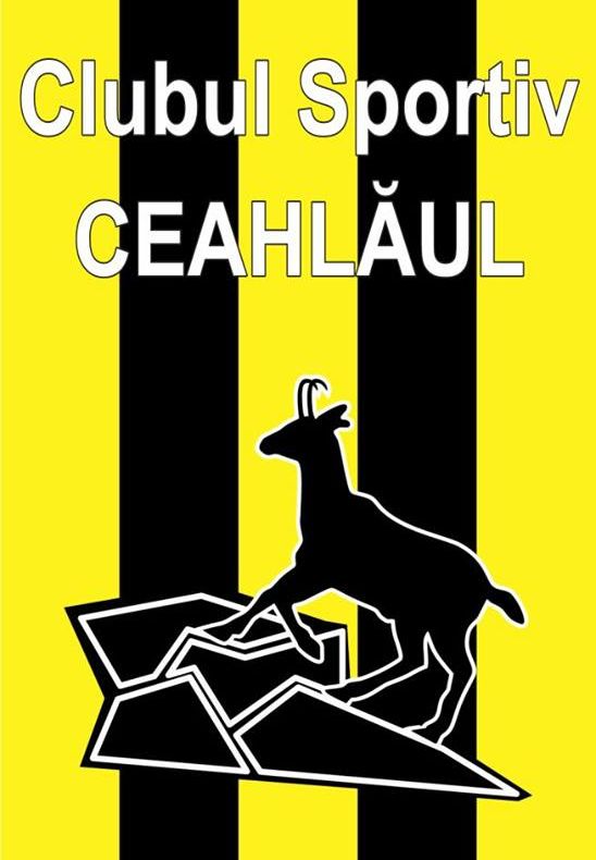 Medalii pentru luptătorii nemțeni