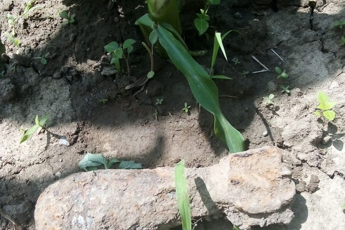 Pirotehniștii nemțeni, misiuni de asanare a muniției neexplodate (FOTO)