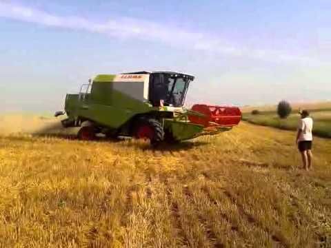 Pagubele provocate de furtuna de aseară (VIDEO)