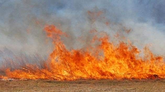 Măsuri de prevenire a incendiilor specifice perioadei caniculare