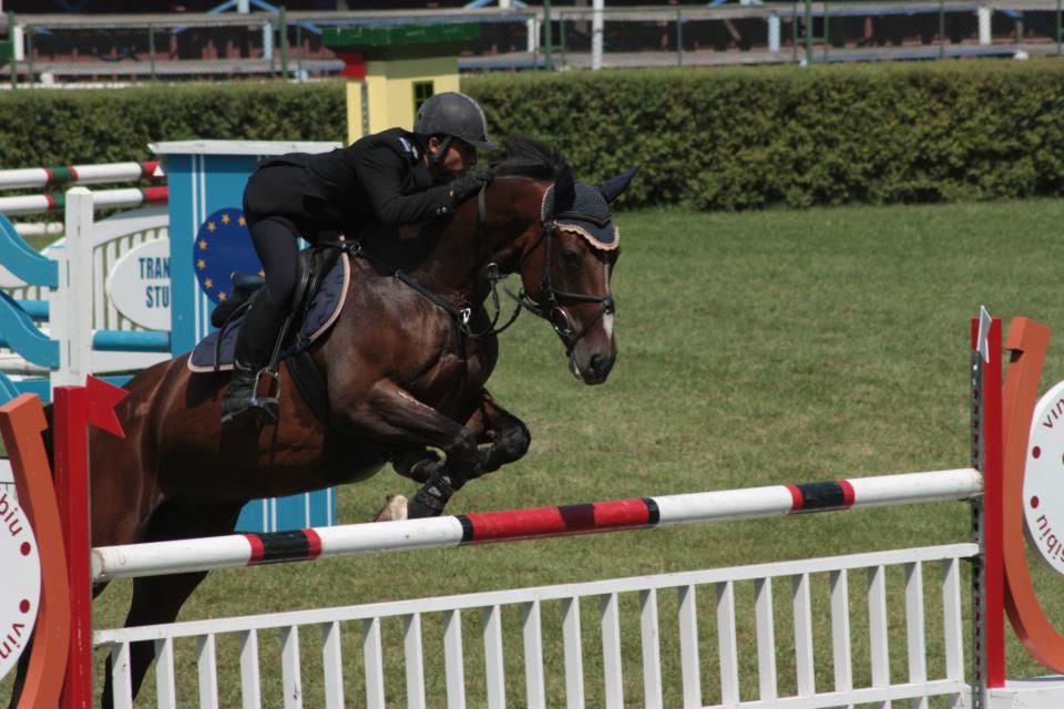 Debut de sezon competițional în Baza Hipică ”Virgil Bărbuceanu”
