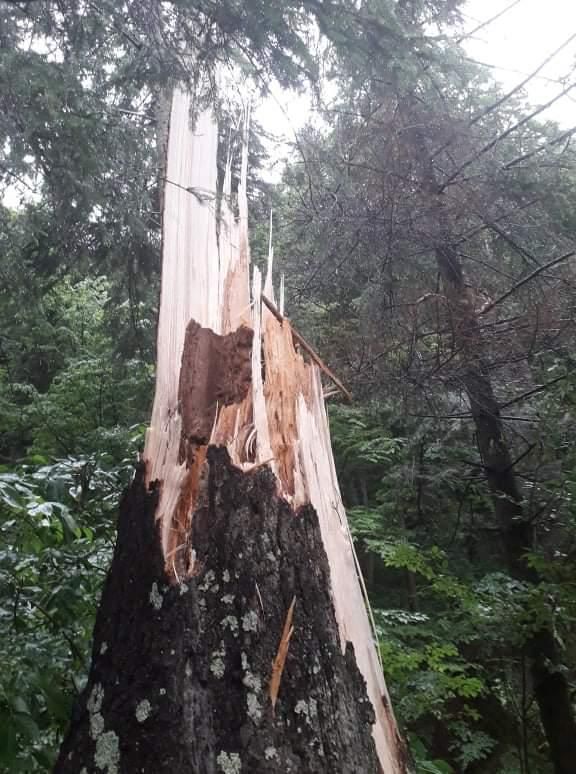 Școala de reporteri în bibliotecile publice din Neamț