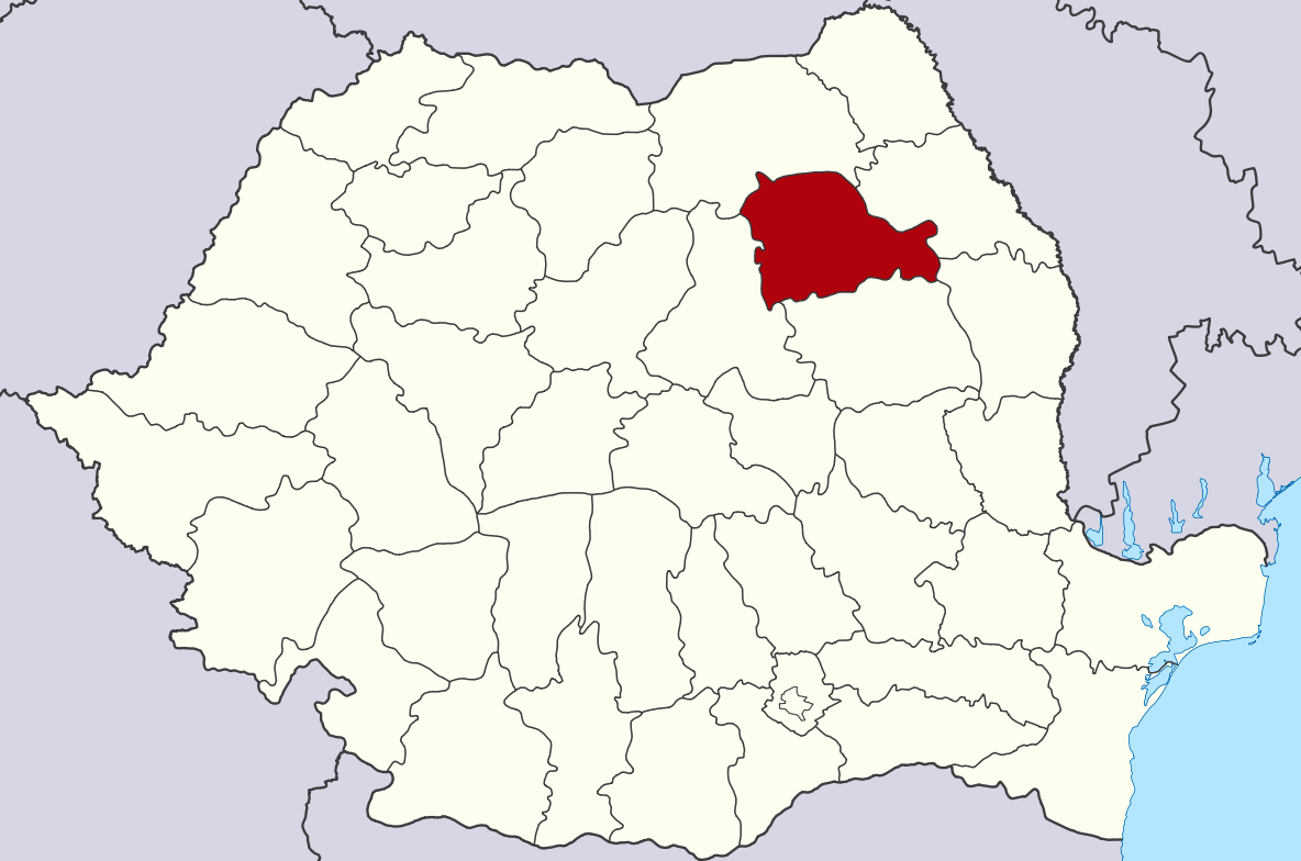 Cel mai prost plătit judeţ din regiunea Nord-Est este Neamț