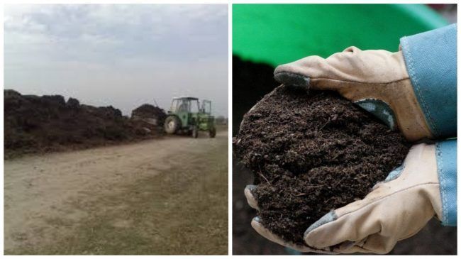 Sursa mirosului din Roman: 2.000 de tone de găinaț, depozitat pentru a fi folosit ca îngrășământ