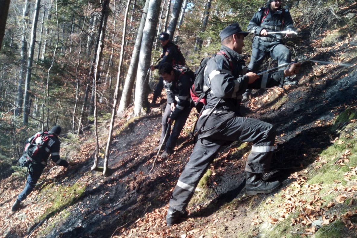 O țigară le-a dat bătăi de cap pompierii nemțeni trei zile (FOTO)