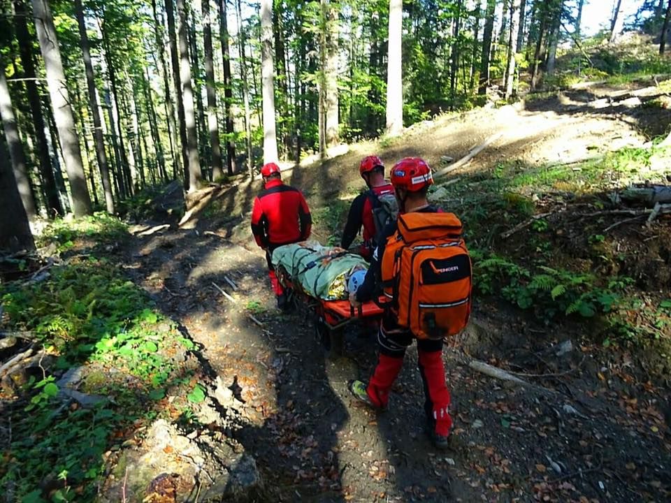 Bărbat lovit de un arbore. A intervenit Salvamont Neamț (FOTO)