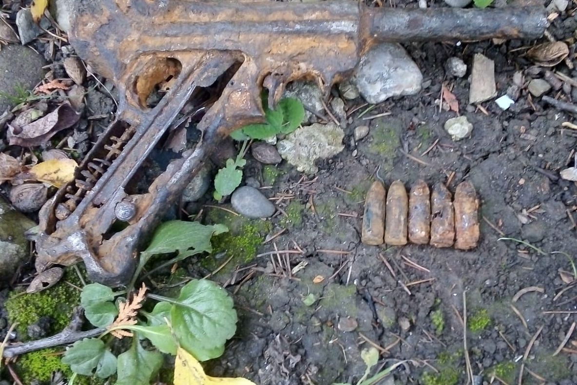 Captură inedită a unui pescar. A găsit un pistol pe malul râului Bistrița (FOTO)