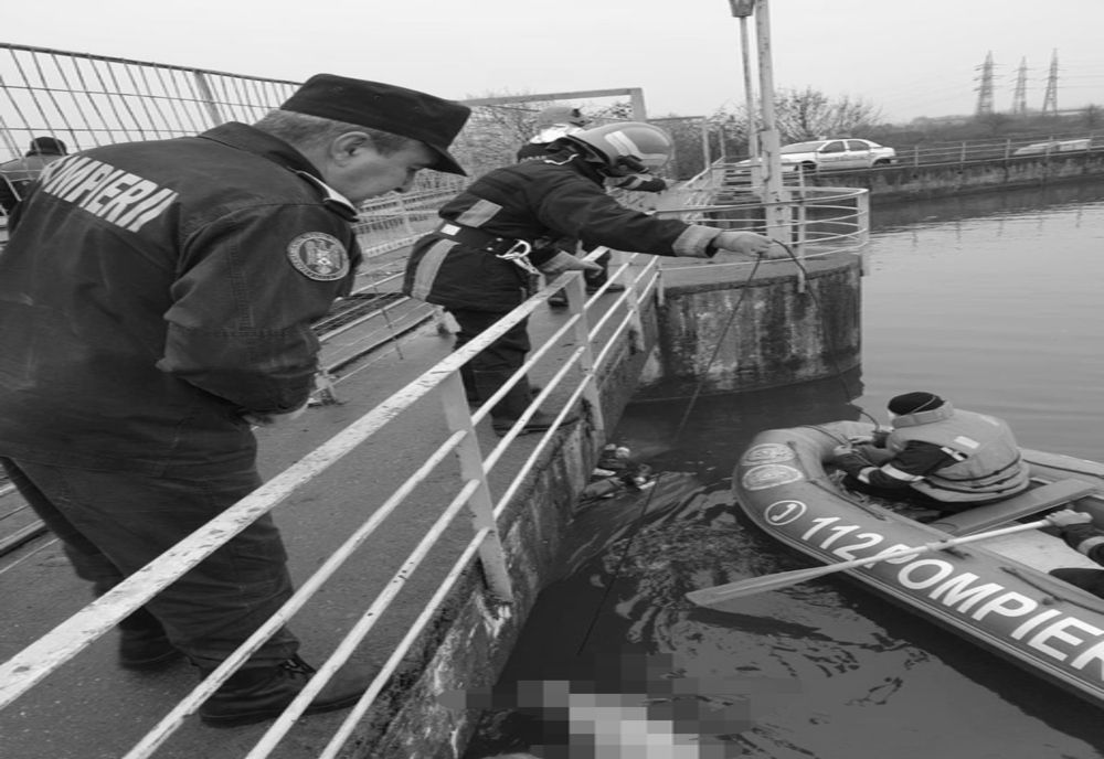 Șase cadavre de porci, scoase de pompieri din Bistrița