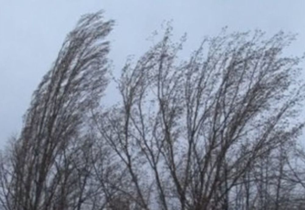 Atenționare METEO! Cod galben de vânt