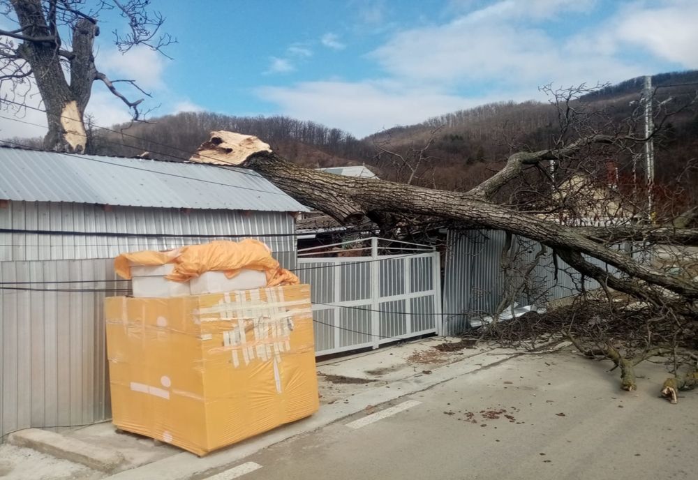 Efectele codului portocaliu de vânt în Neamț. Bucăți de tablă desprinse, copaci căzuți și localități fără energie electrică