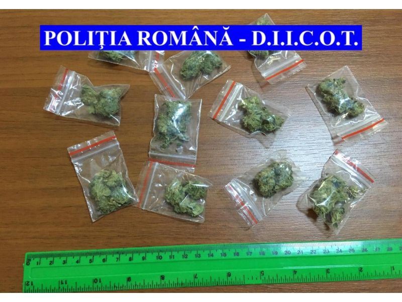 Flagrant și percheziții în Neamț. Tineri, reținuți pentru trafic de droguri (FOTO)