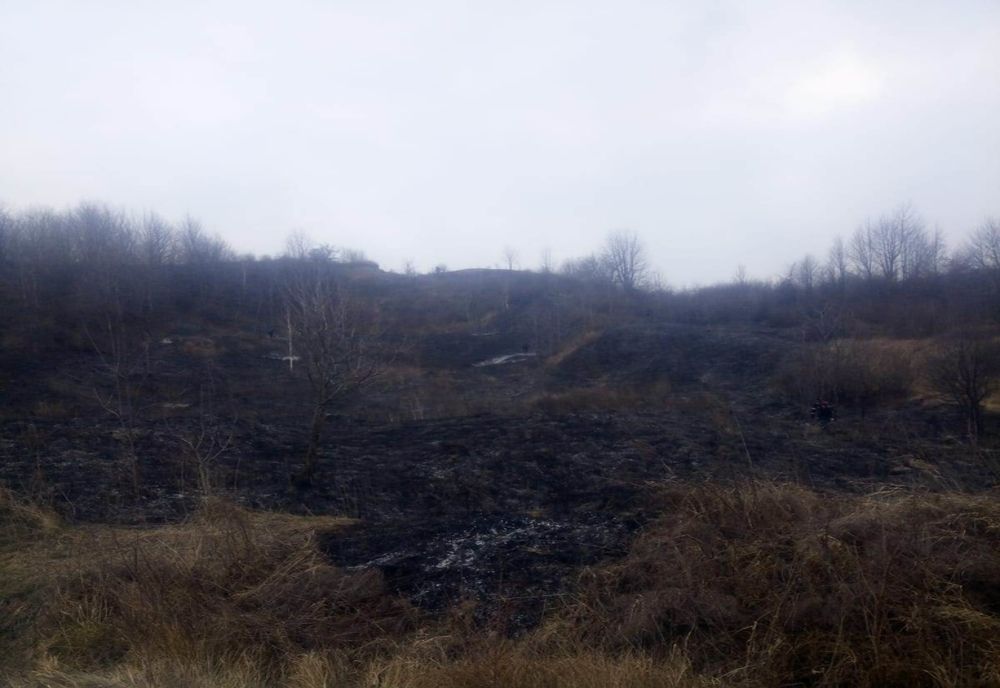 Două incendii de vegetație uscată la aceeași oră