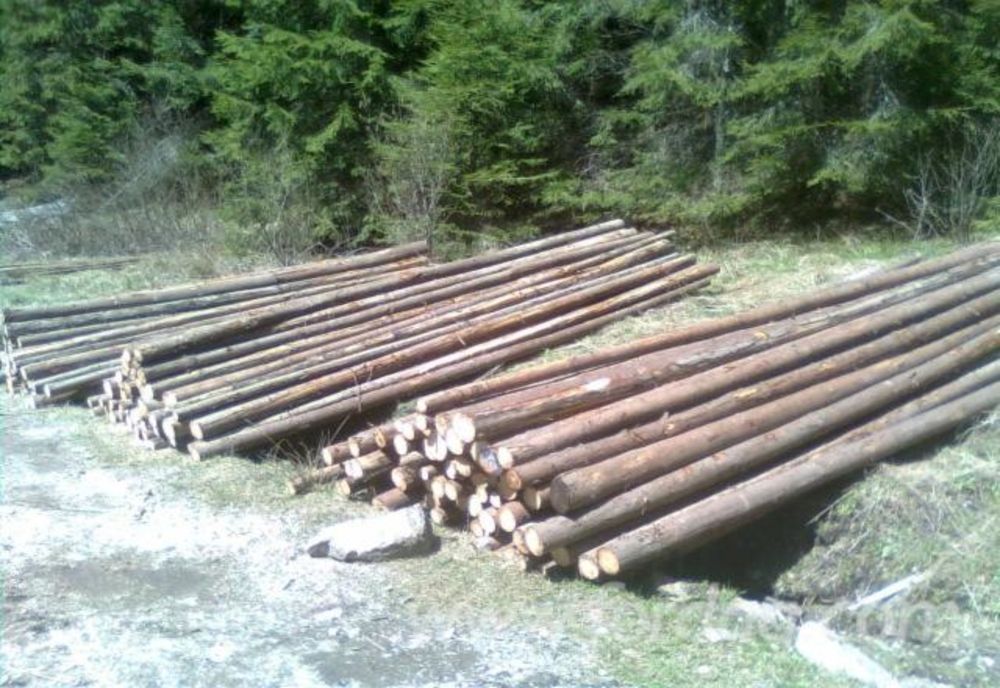 Lemn în valoare de aproximativ 500 000 de lei, confiscat de polițiști