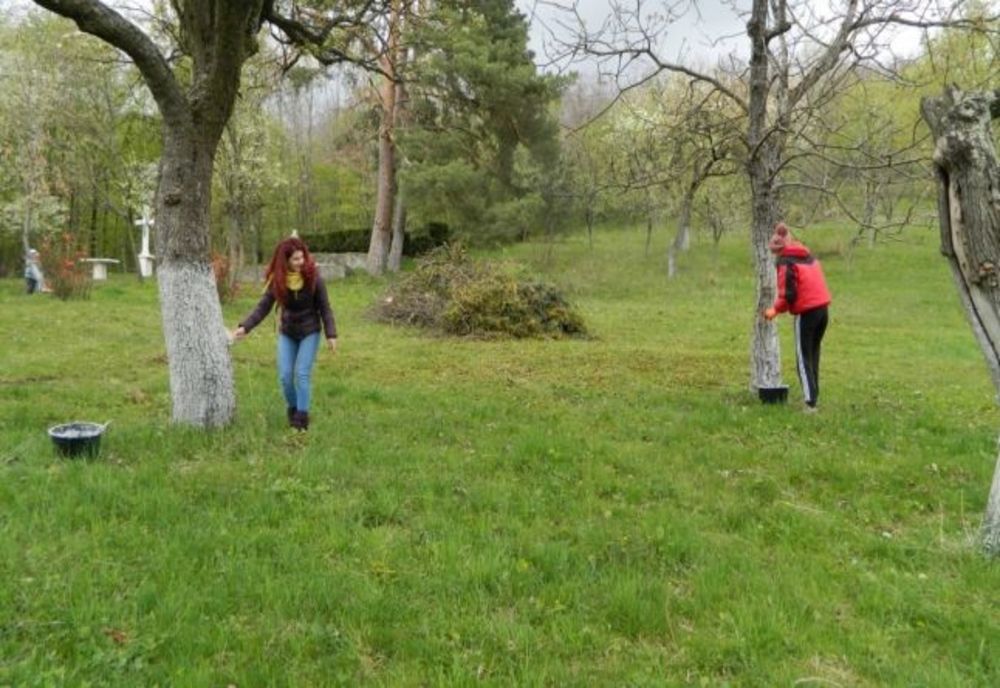 Concursul „Romanul, curat și verde”, ediția a XI-a