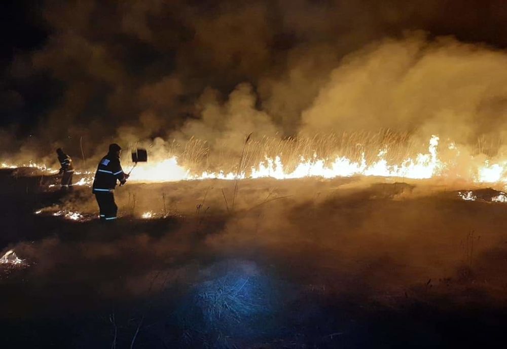 Cinci incendii de vegetație uscată, într-o singură zi