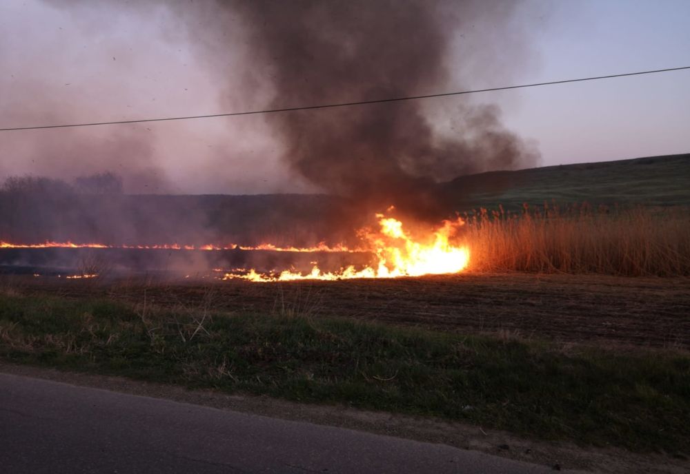 20 de hectare de pășune și 4 de fond forestier, arse. Totul a pornit de la un foc lăsat nesupravegheat