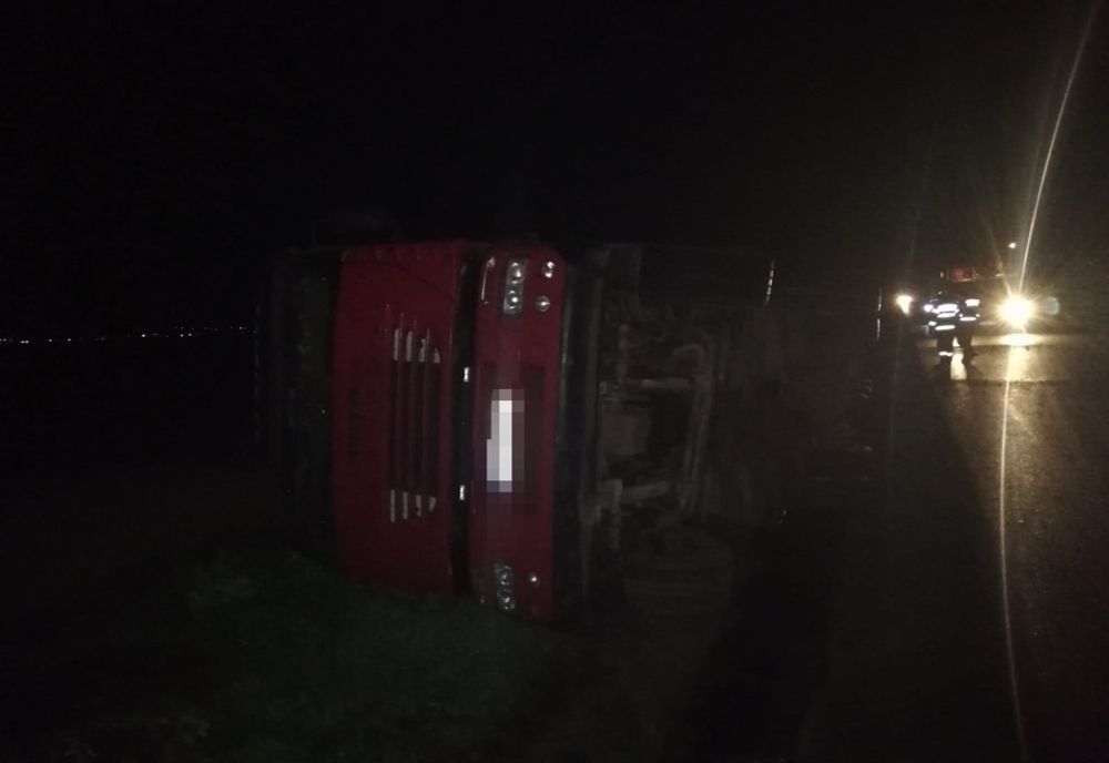 TIR încărcat cu floarea soarelui, răsturnat pe E85.