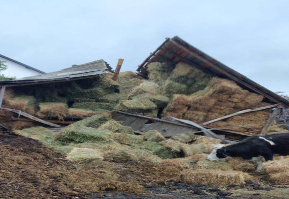 Un bărbat și 20 de vite, sub dărâmături (FOTO)