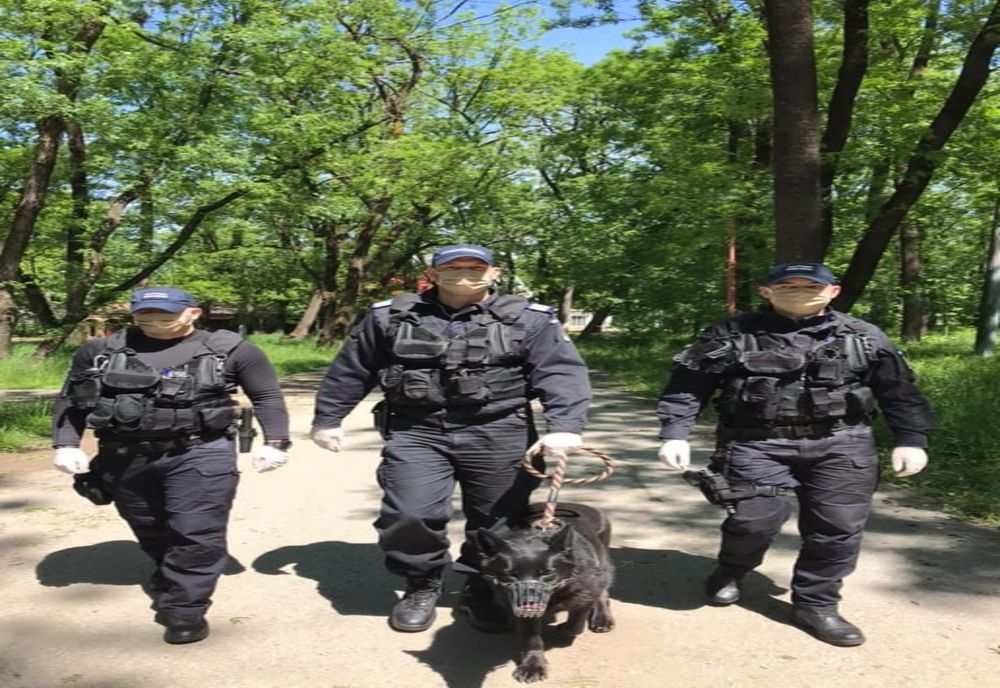 35 de sancțiuni contravenționale aplicate de jandarmii nemțeni  în perioada minivacanței de Rusalii