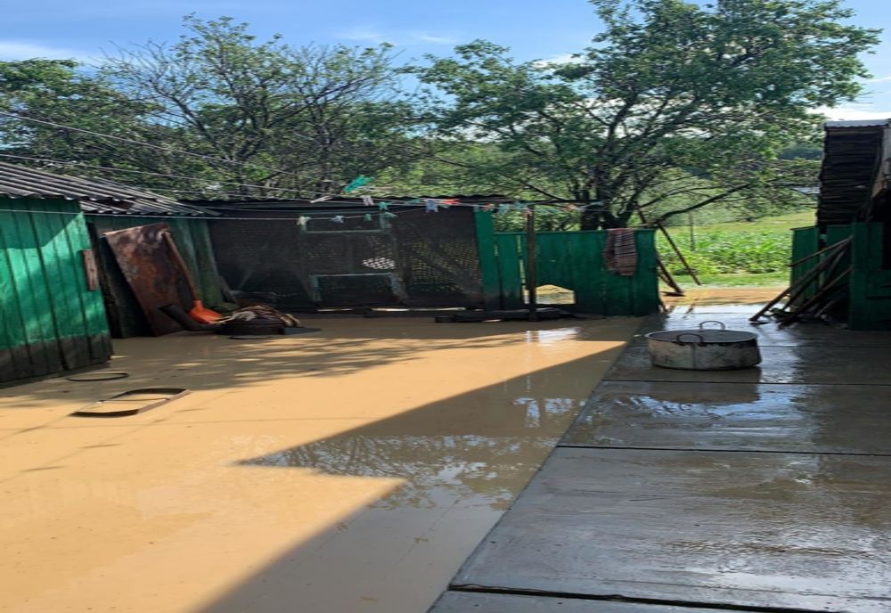 Pagubele furtunii de ieri (18 iunie)