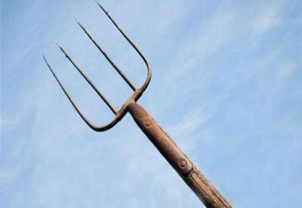 Și-a bătut vecinul cu furca