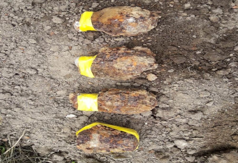 Muniție provenită din Al Doilea Război Mondial, descoperită în curtea unui bărbat din Neamț (FOTO)