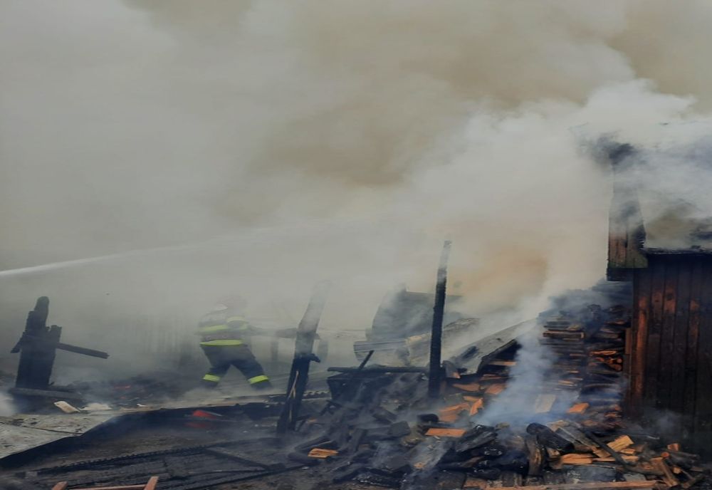 Adăpost pentru animale mistuit de flăcări în Negrești