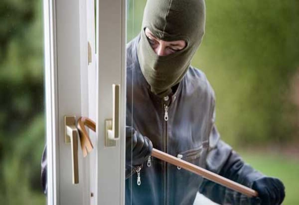 Rețea de hoți destructurată! Unul fura, doi vindeau bunurile! Vezi județele în care acționau 