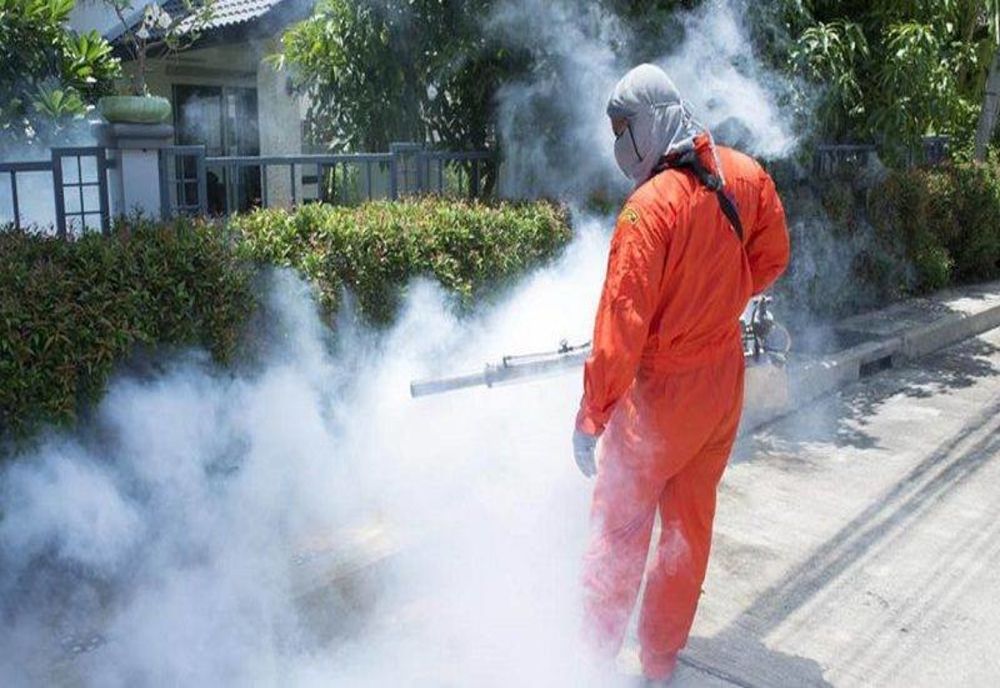 Dezinsecție în Piatra-Neamț