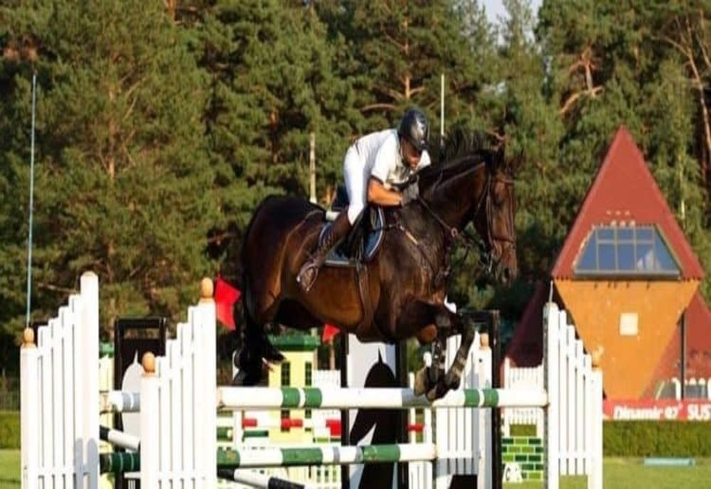 Competiții ecvestre de referință la Piatra Neamț fără spectatori în tribune