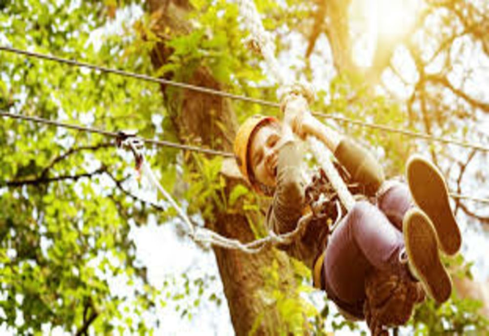 Dealul Cozla s-ar putea transforma într-un parc tematic