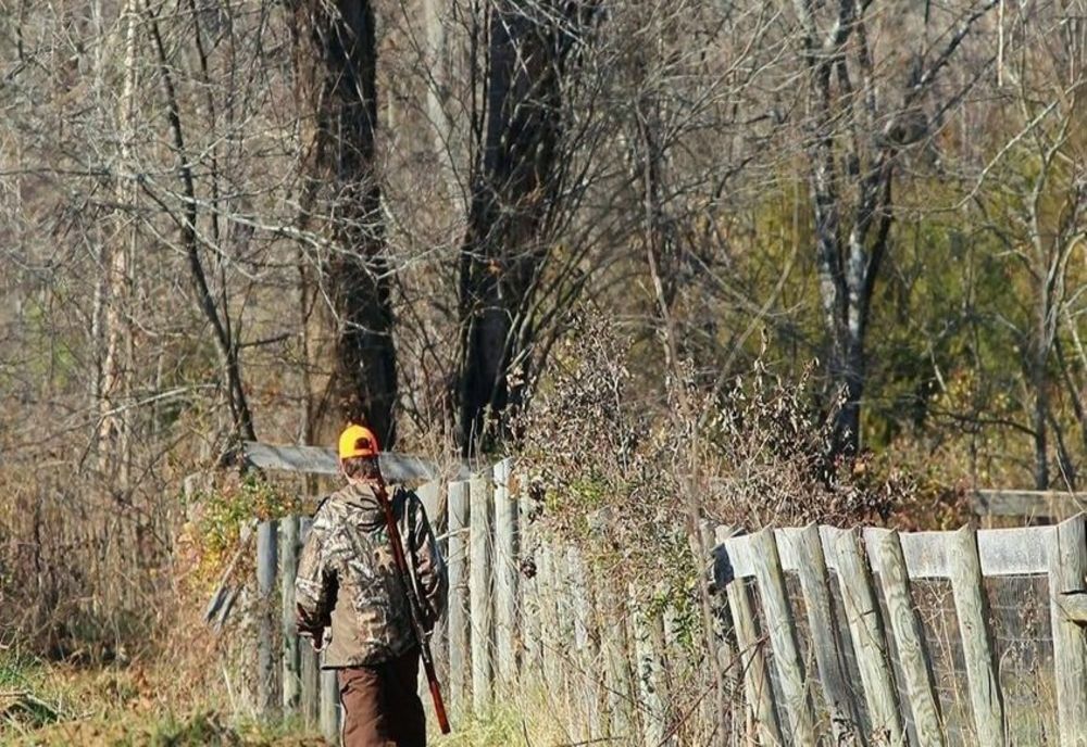 Pedepse mai mari pentru cei care agresează personalul silvic