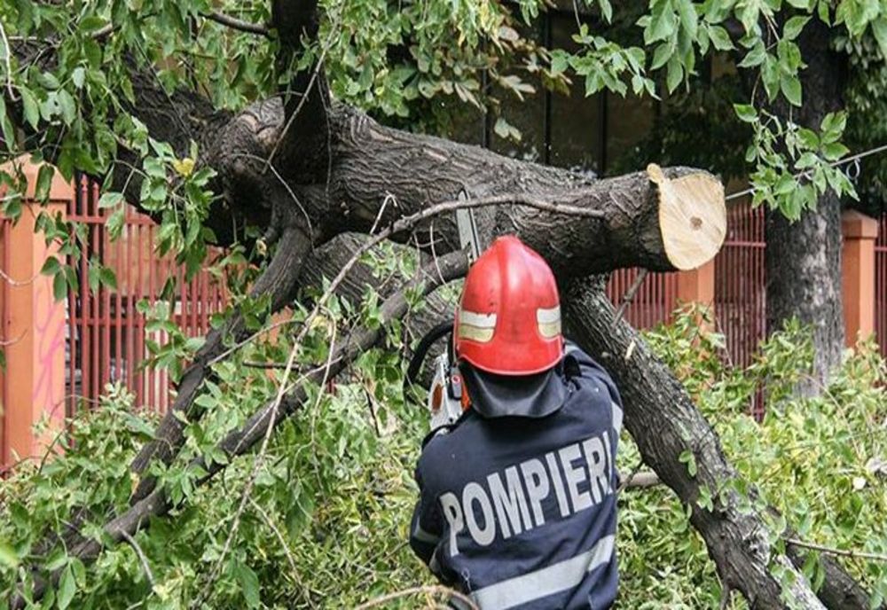 Doi arbori au blocat traficul rutier și au afectat alimentarea cu energie electrică