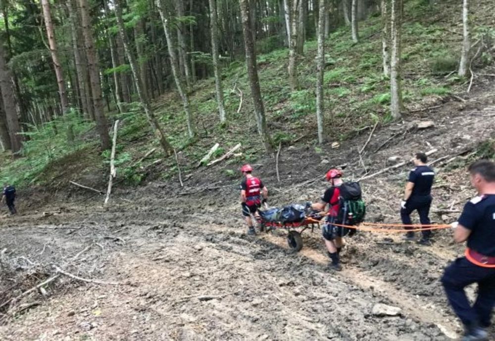 Și-a găsit sfârșitul strivit de copacul pe care l-a tăiat (FOTO)