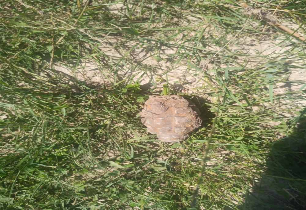 Grenadă găsită într-un pârâu 