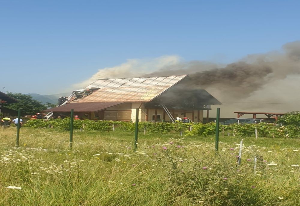 Incendiu în Dumbrava Roșie! Proprietarul a suferit atac de panică