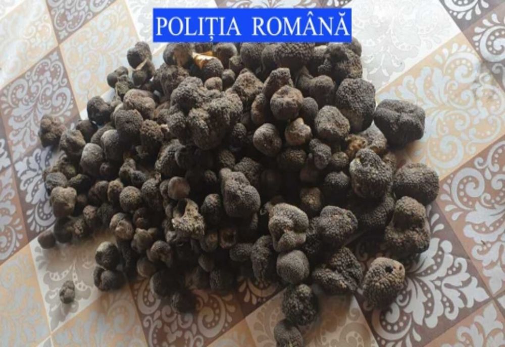 Tânăr din Bacău, prins cu 5 kg de trufe negre în mașină
