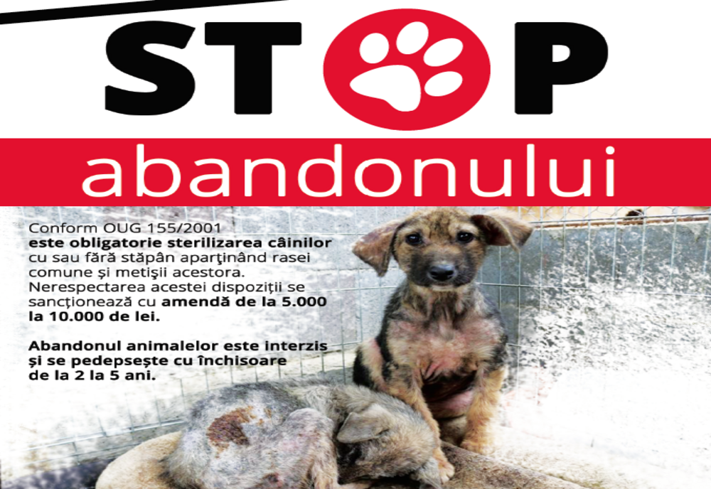 Afișe la fiecare scară de bloc din Piatra-Neamț: STOP ABANDON!