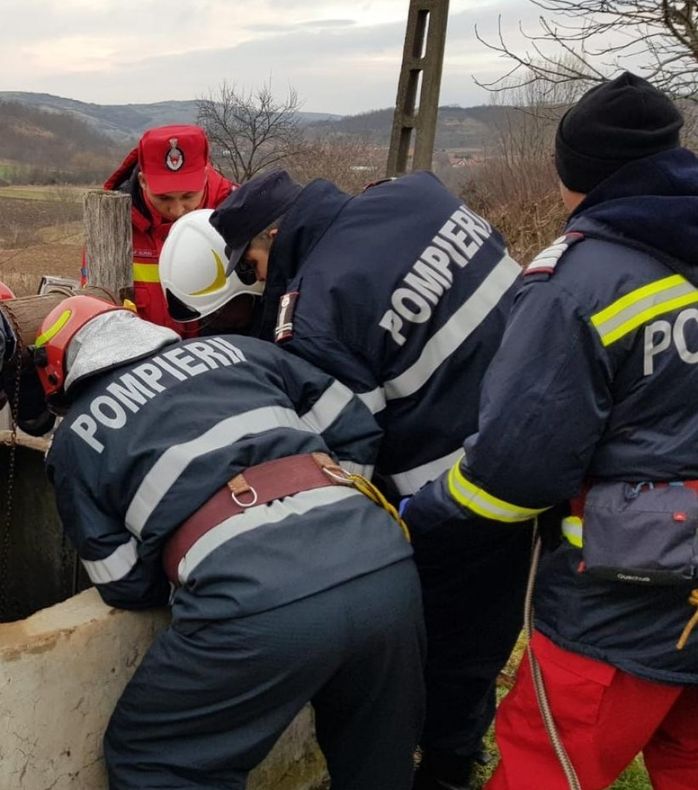 Bovină salvată de pompieri dintr-o fântână