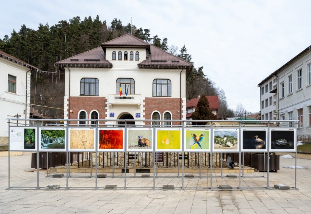 Expoziție de fotografie Biodiversitatea