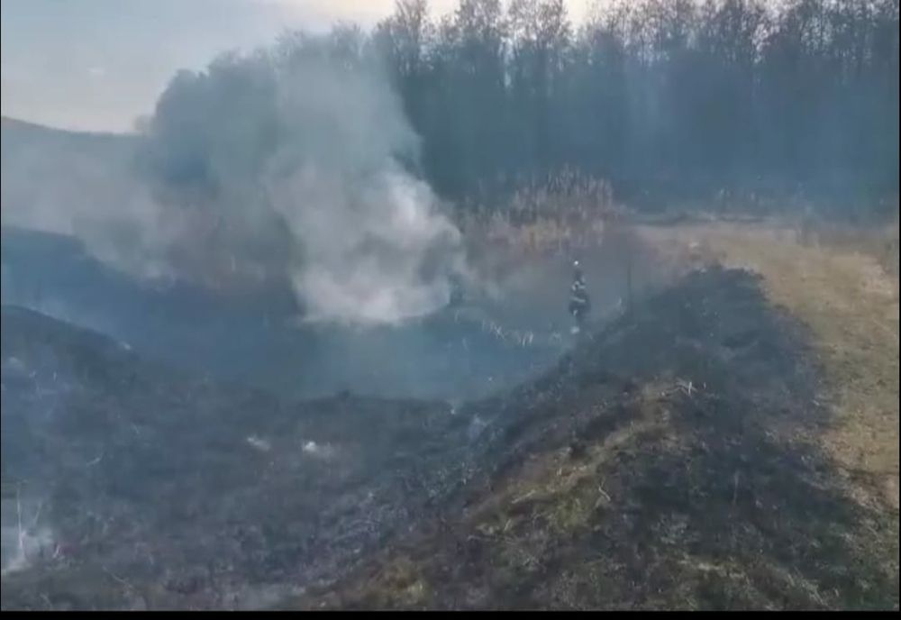Incendiu de vegetație la Gâdinți