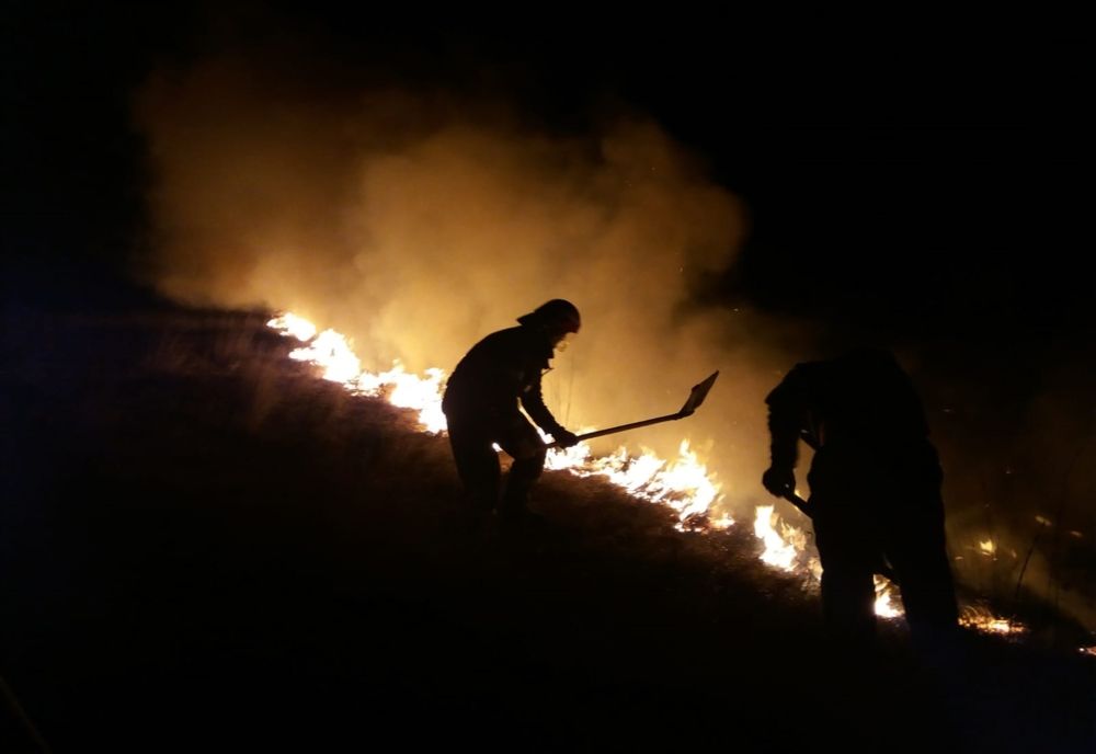Incendii de vegetație uscată, stinse de pompierii nemțeni