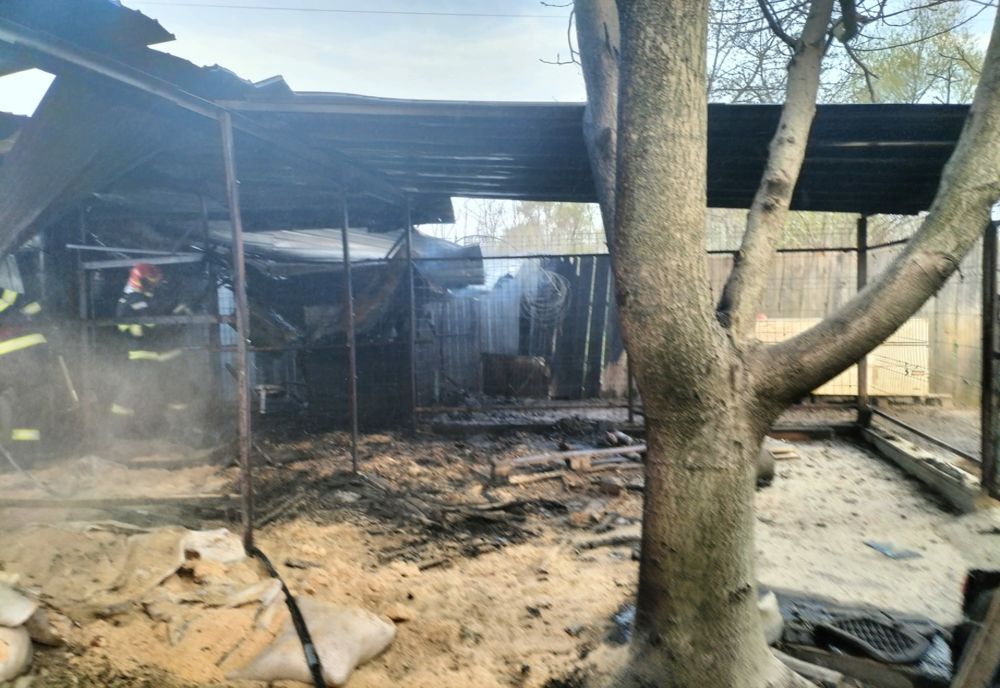 Incendiu la un atelier de tâmplarie în prima zi de Paște