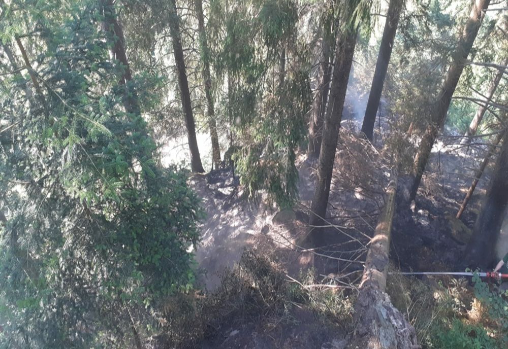 Incendiu la un fond forestier din comuna Borca