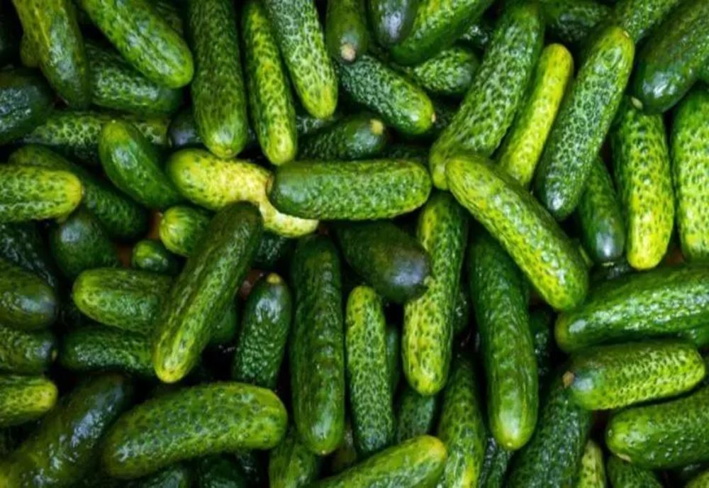 Ce se întâmplă în organismul tău atunci când mănânci mulţi castraveţi cruzi