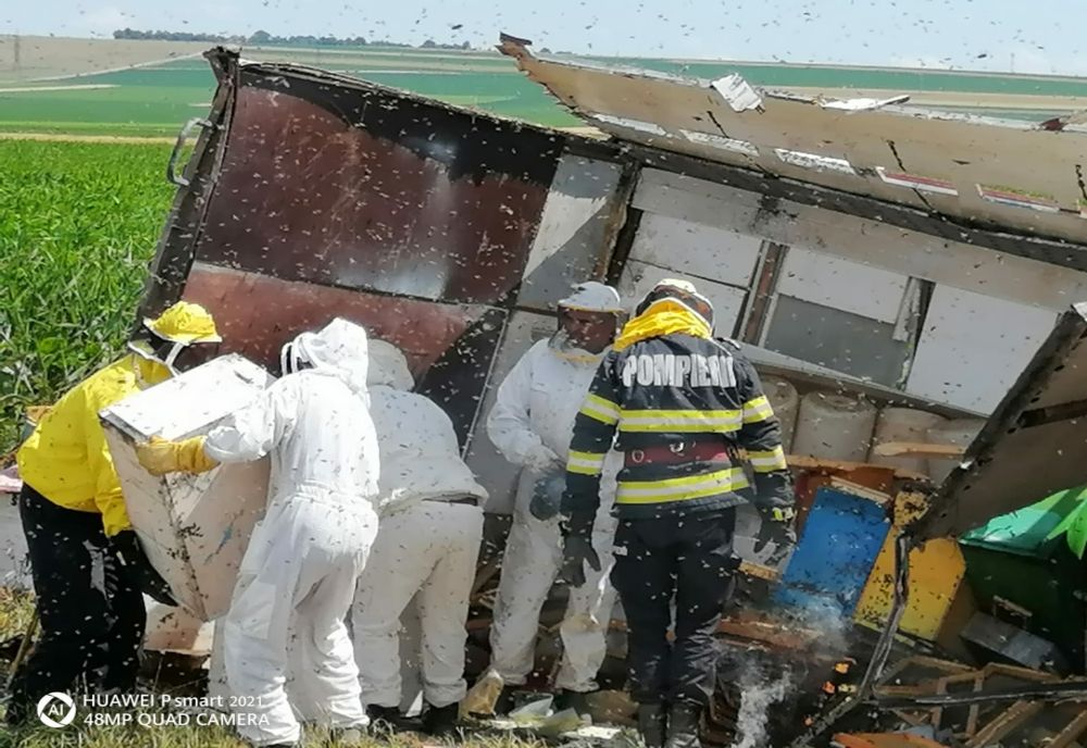 O autoutilitară cu 60 de stupi de albine s-a răsturnat pe un drum din Neamț!A fost emis RO-ALERT