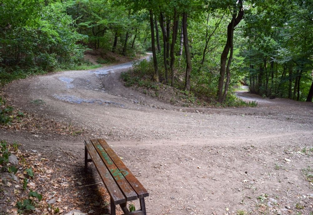 Încep lucrările de modernizare a drumului de acces pe muntele Cozla